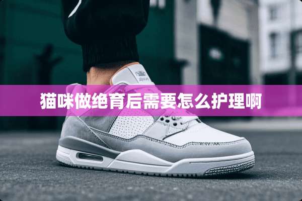 猫咪做绝育后需要怎么护理啊
