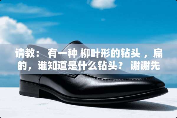 请教： 有一种 柳叶形的钻头 ，扁的，谁知道是什么钻头？ 谢谢先！