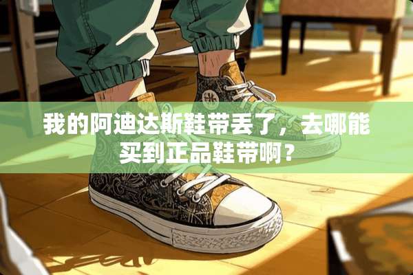 我的阿迪达斯鞋带丢了，去哪能买到正品鞋带啊？
