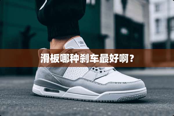 滑板哪种刹车最好啊？