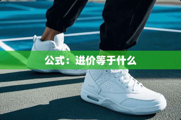公式：进价等于什么