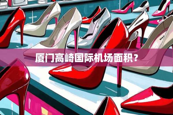 厦门高崎国际机场面积？