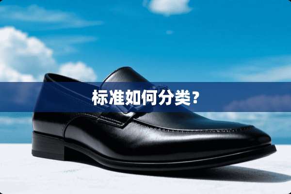 标准如何分类？