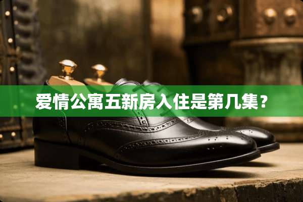 爱情公寓五新房入住是第几集？