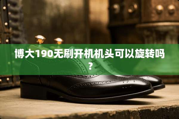 博大190无刷开机机头可以旋转吗？
