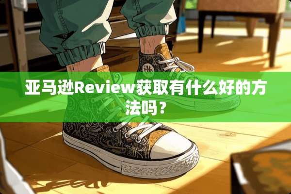 亚马逊Review获取有什么好的方法吗？