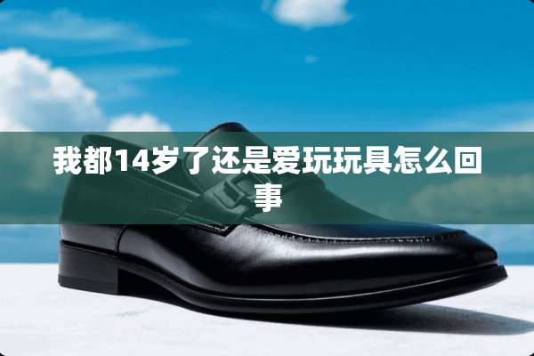 我都14岁了还是爱玩玩具怎么回事