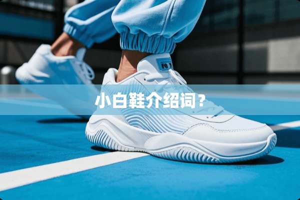 小白鞋介绍词？