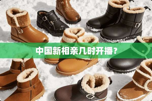 中国新相亲几时开播？