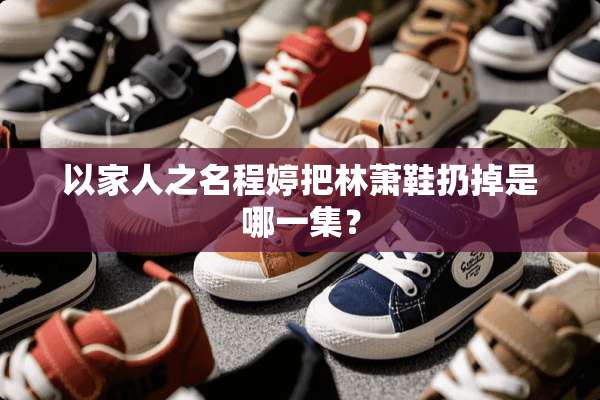 以家人之名程婷把林萧鞋扔掉是哪一集？