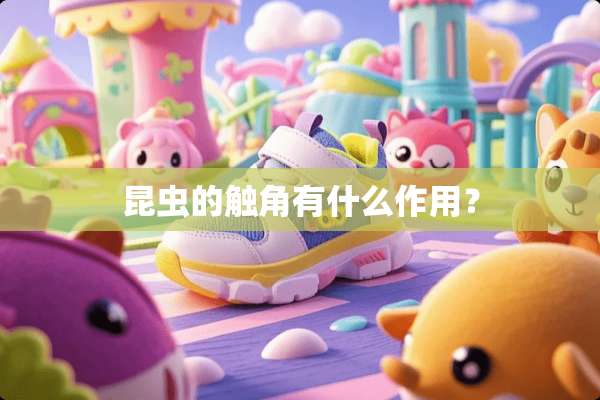 昆虫的触角有什么作用？