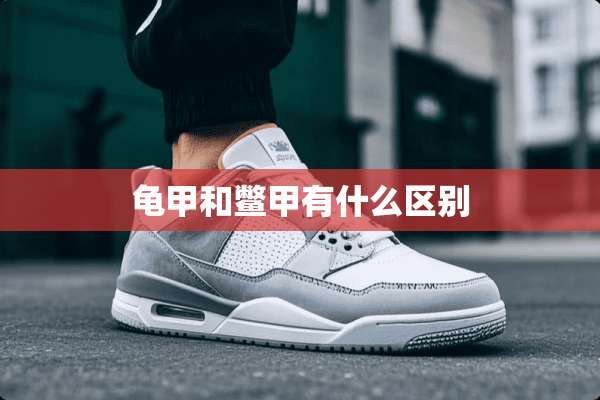 龟甲和鳖甲有什么区别