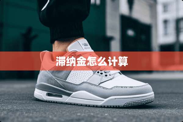 滞纳金怎么计算