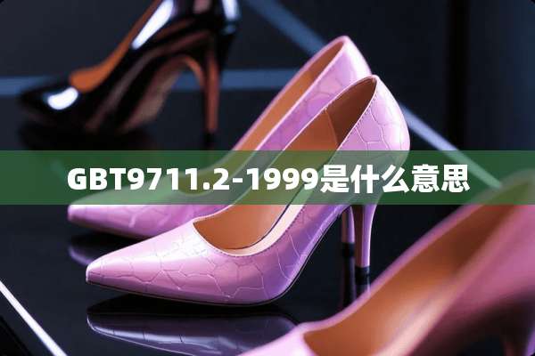 GBT9711.2-1999是什么意思
