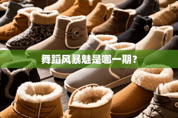 舞蹈风暴魅是哪一期？