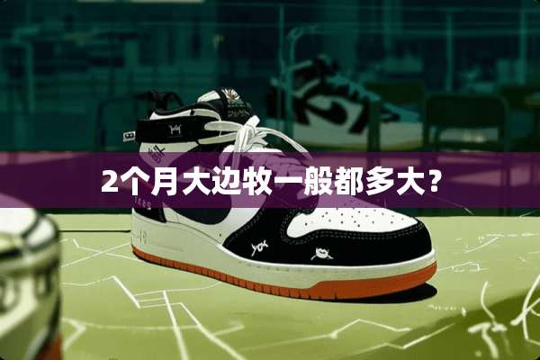 2个月大边牧一般都多大？