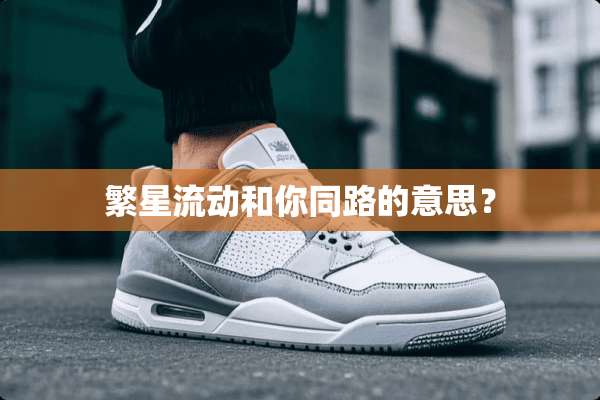 繁星流动和你同路的意思？