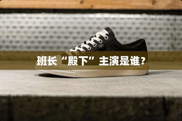 班长“殿下”主演是谁？