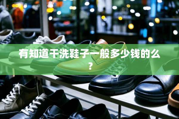有知道干洗鞋子一般多少钱的么？