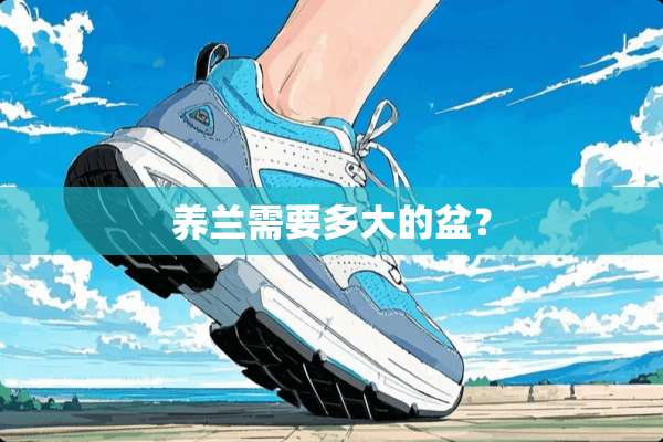 养兰需要多大的盆？