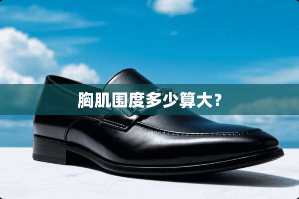 胸肌围度多少算大？