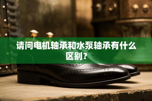 请问电机轴承和水泵轴承有什么区别？