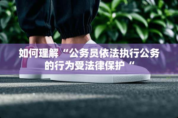 如何理解“公务员依法执行公务的行为受法律保护“