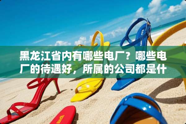 黑龙江省内有哪些电厂？哪些电厂的待遇好，所属的公司都是什么