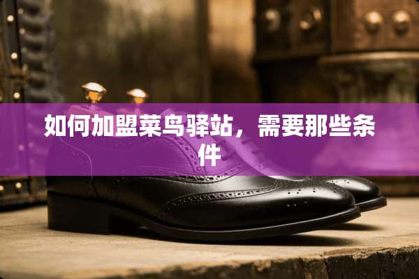 如何加盟菜鸟驿站，需要那些条件