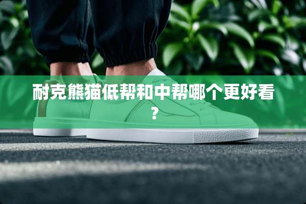 耐克熊猫低帮和中帮哪个更好看？