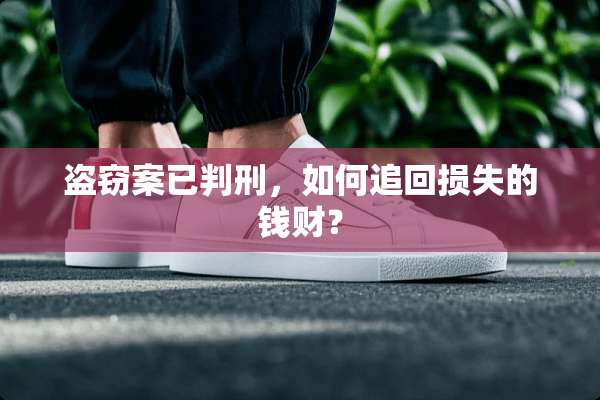 盗窃案已判刑，如何追回损失的钱财？