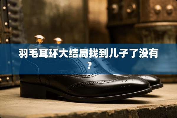 羽毛耳环大结局找到儿子了没有？