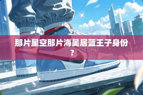 那片星空那片海吴居蓝王子身份？