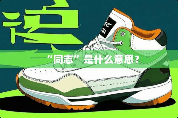 “同志”是什么意思？