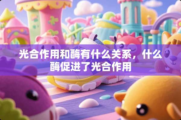 光合作用和酶有什么关系，什么酶促进了光合作用