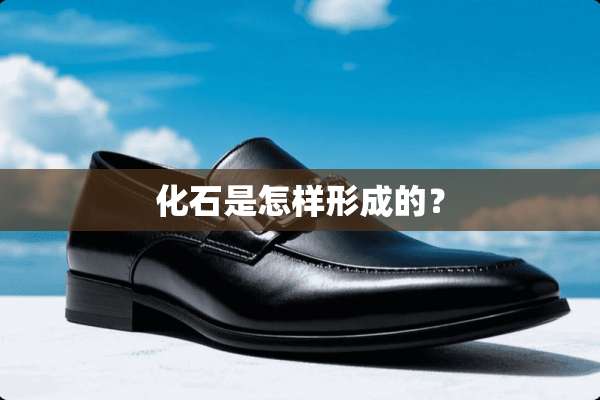 化石是怎样形成的？