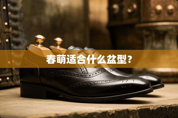 春萌适合什么盆型？