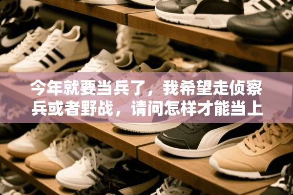 今年就要当兵了，我希望走侦察兵或者**，请问怎样才能当上？