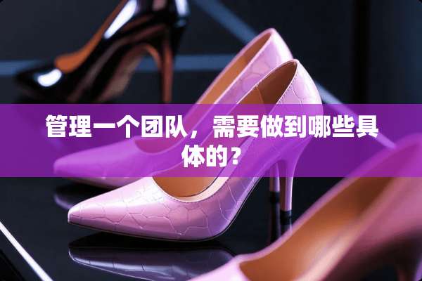 管理一个团队，需要做到哪些具体的？