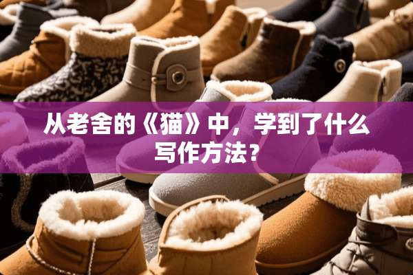 从老舍的《猫》中，学到了什么写作方法？