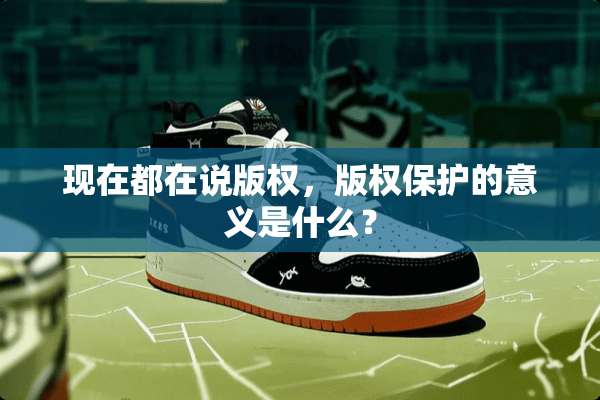 现在都在说版权，版权保护的意义是什么？