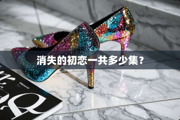 消失的初恋一共多少集？