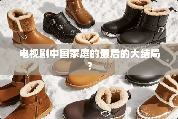 电视剧中国家庭的最后的大结局？