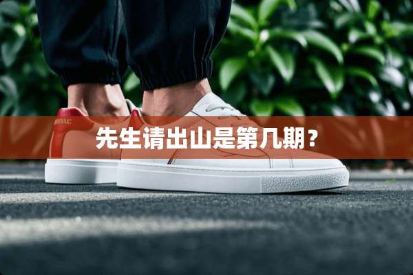 先生请出山是第几期？