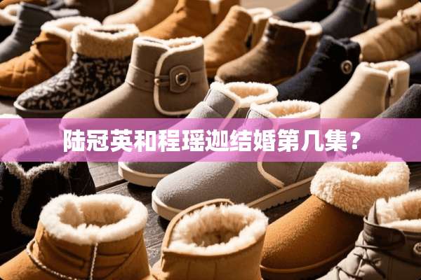 陆冠英和程瑶迦结婚第几集？