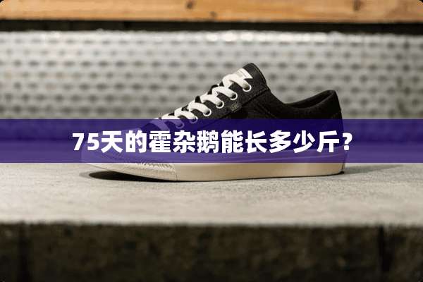 75天的霍杂鹅能长多少斤？