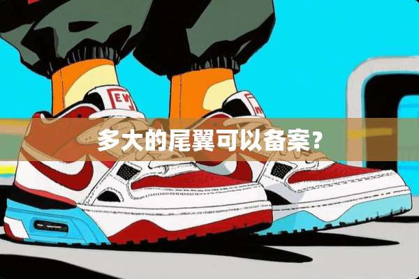 多大的尾翼可以备案？