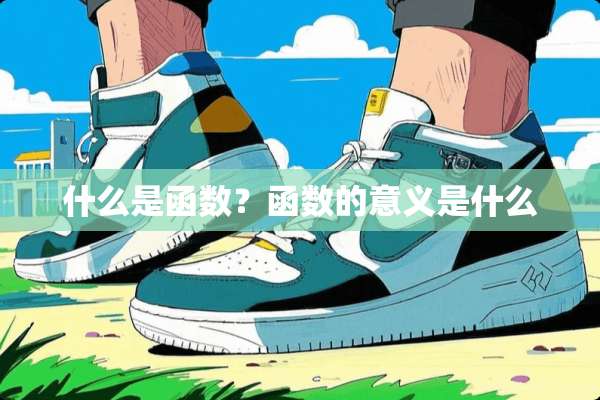 什么是函数？函数的意义是什么