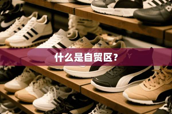 什么是自贸区？