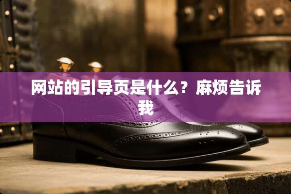 网站的引导页是什么？麻烦告诉我
